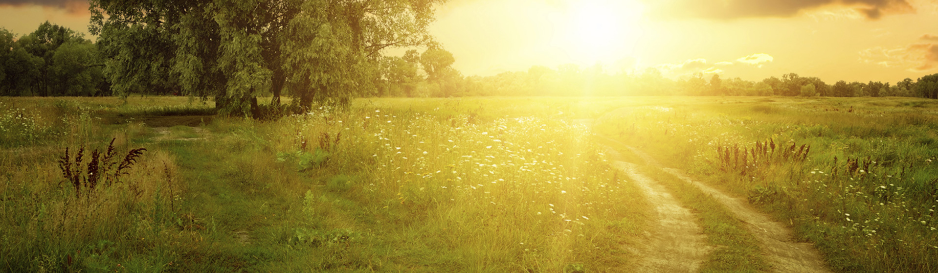 Fondation Équilibre